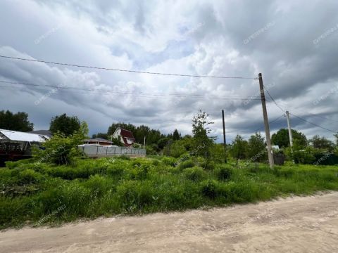 derevnya-zabore-gorodskoy-okrug-bor фото