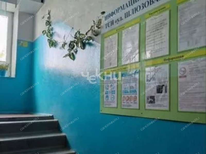 двухкомнатная квартира на Шлюзовой улице дом 13 город Городец