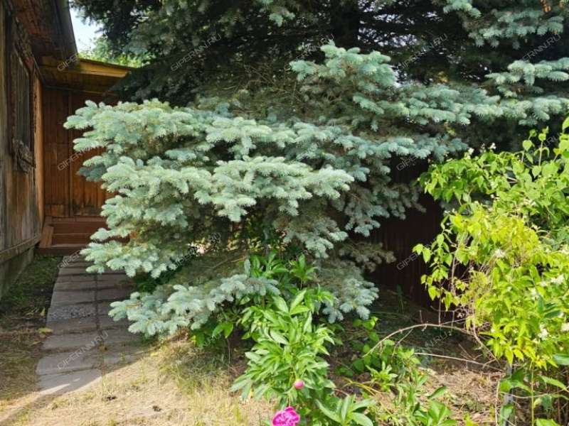 дом на Центральной улице село Доскино