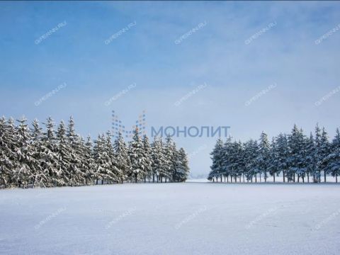 kovrez-sp-diveevskiy-municipalnyy-okrug фото