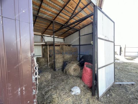 moskovskiy-rayon фото