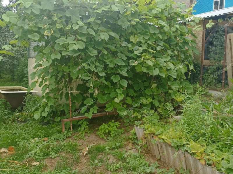 земельный участок 10 соток село Редькино