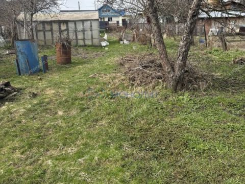 gorodskoy-okrug-bor-gorodskoy-okrug-bor фото