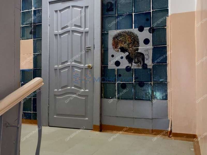 однокомнатная квартира на проспекте Ленина дом 45