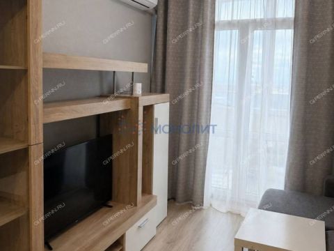 1-komnatnaya-derevnya-ankudinovka-kstovskiy-rayon фото