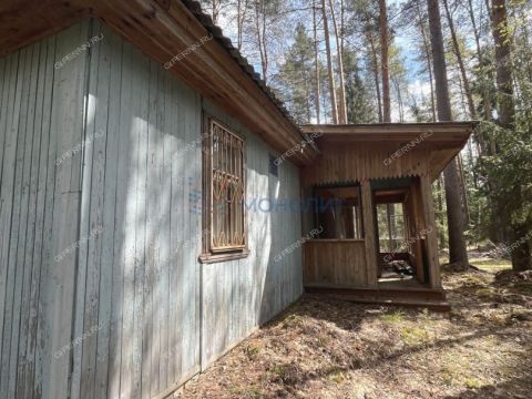 dacha-derevnya-sverchkovo-krasnoslobodskiy-selsovet-gorodskoy-okrug-bor фото