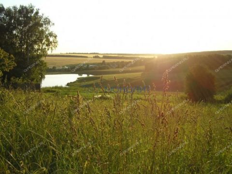 derevnya-shvariha-bogorodskiy-municipalnyy-okrug фото