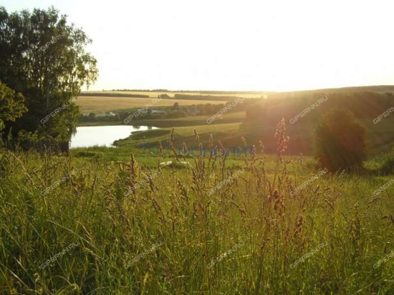 земельный участок 21 сотка Дорожная улица деревня Швариха