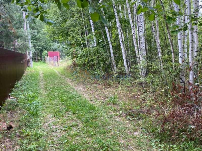 земельный участок под сельхоз назначение в Богородском районе Нижегородской области