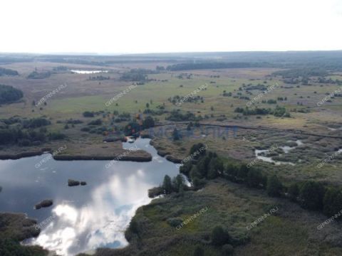 derevnya-kubaevo-bogorodskiy-municipalnyy-okrug фото