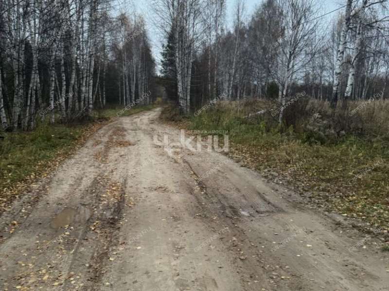 земельный участок 10,6 сотки Тенистая деревня Кудрино