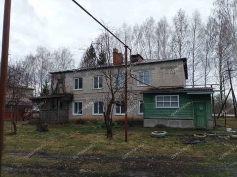 3-komnatnaya-selo-bolshoe-mamleevo-lukoyanovskiy-rayon фото
