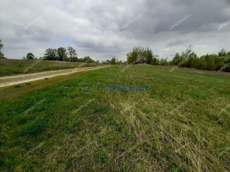 земельный участок 596,6 сотки Рабочая улица деревня Лапшиха