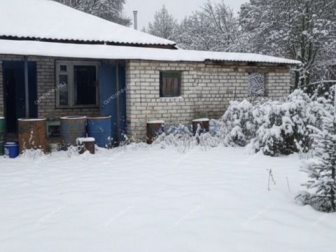 dom-derevnya-zhestelevo-pavlovskiy-municipalnyy-okrug фото