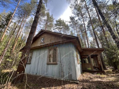 derevnya-sverchkovo-gorodskoy-okrug-bor фото
