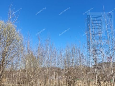 derevnya-shumilovo-bogorodskiy-municipalnyy-okrug фото
