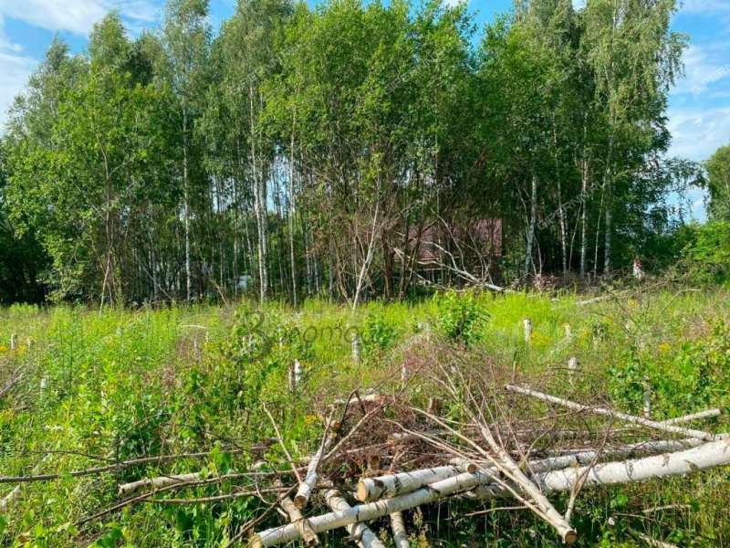 земельный участок 10 соток село Елховка