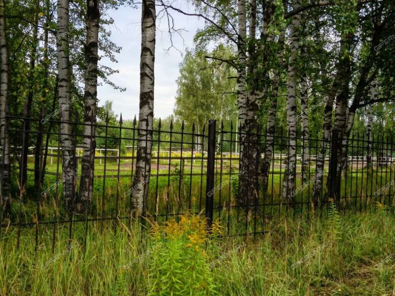 земельный участок под сельхоз назначение в городском округе Чкаловск Нижегородской области