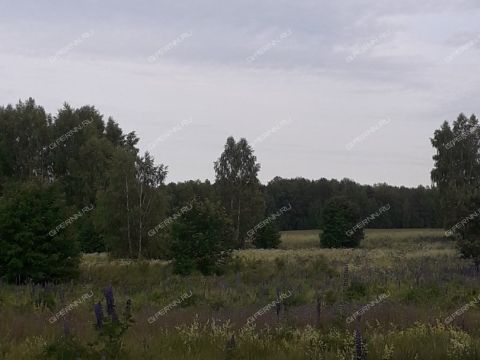 derevnya-zabolotnoe-sokolskiy-gorodskoy-okrug фото