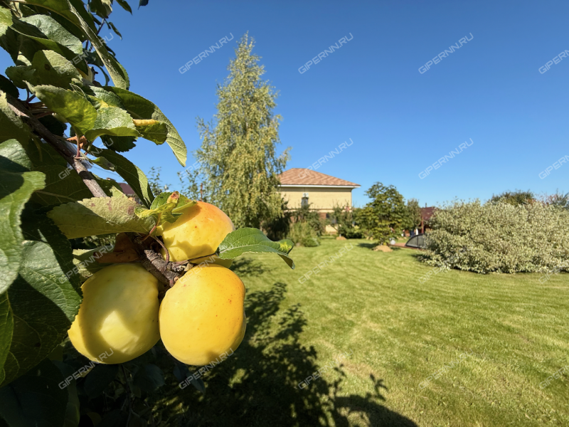 дом на улице Физкультурная деревня Бурцево