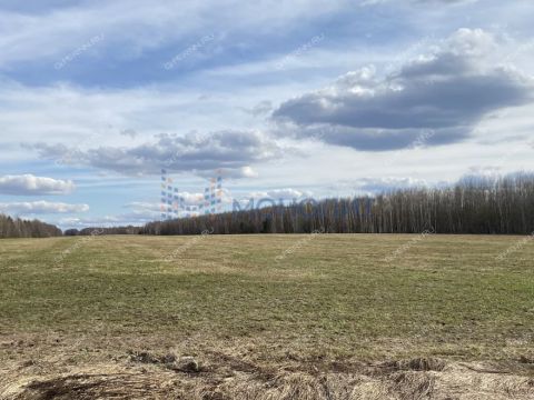 selo-kamenki-bogorodskiy-municipalnyy-okrug фото