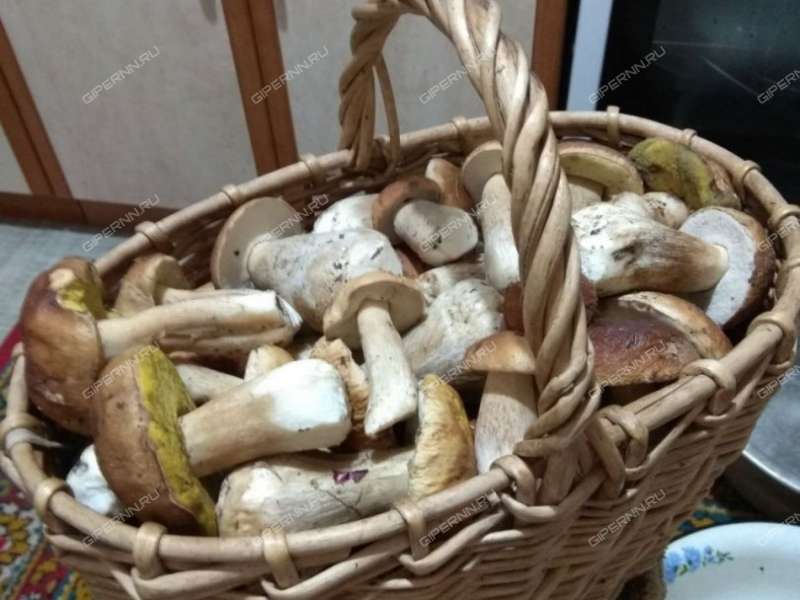 дом на СНТ Геолог посёлок при станции Осинки