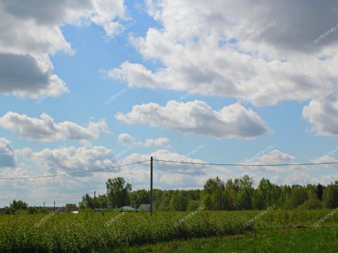 derevnya-shopovo-bogorodskiy-municipalnyy-okrug фото