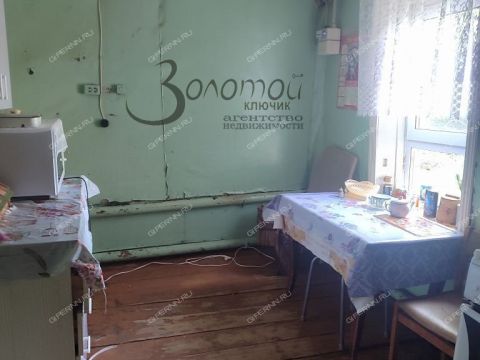 dom-derevnya-staroe-druzhkovo-spasskiy-rayon фото