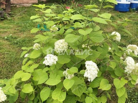 dom-sadovodcheskoe-nekommercheskoe-tovarishhestvo-yasnaya-polyana-bogorodskiy-municipalnyy-okrug фото