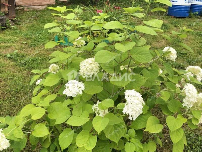 дом на 86 садоводческое некоммерческое товарищество Ясная Поляна