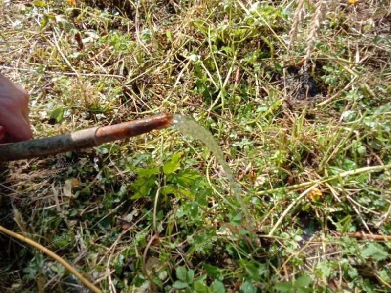 дом на Счастливой улице деревня Сысоевка