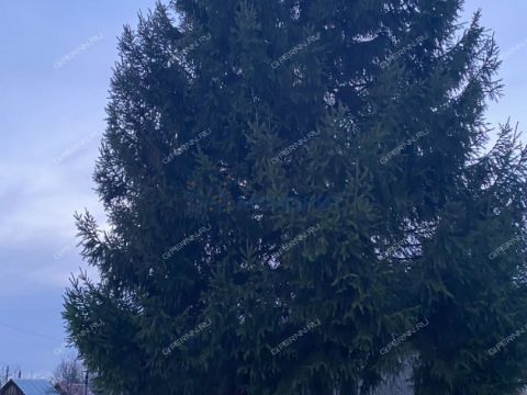 dacha-leninec-8-derevnya-hmelevaya-polyana-ter-snt-dalnekonstantinovskiy-rayon фото