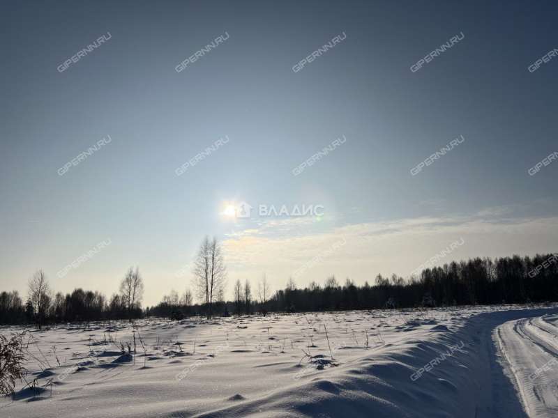 дом на 10 деревня Завражное, Зиняковский сельсовет