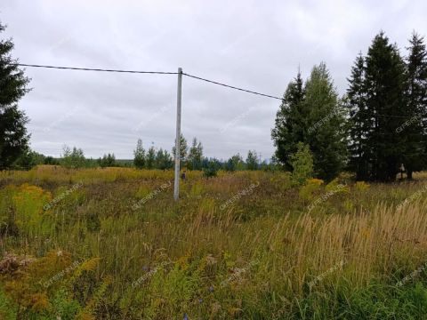 derevnya-kileley-bogorodskiy-municipalnyy-okrug фото