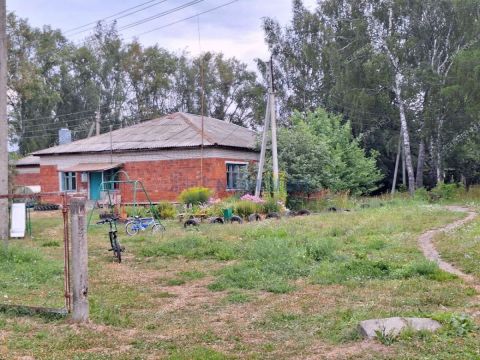 selo-arapovo-bogorodskiy-municipalnyy-okrug фото