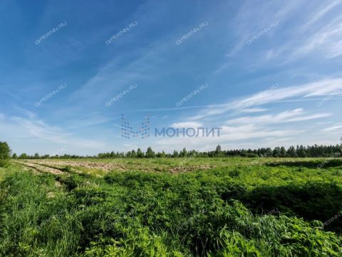 derevnya-trifakino-voskresenskiy-rayon фото