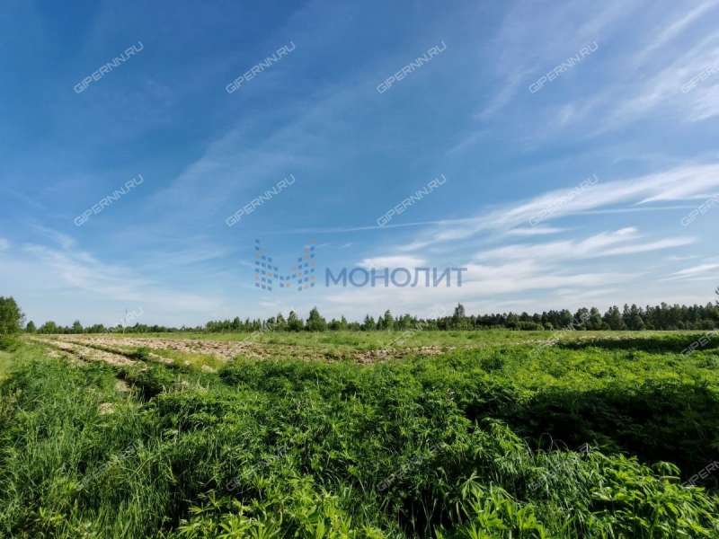 земельный участок 950 соток - деревня Трифакино